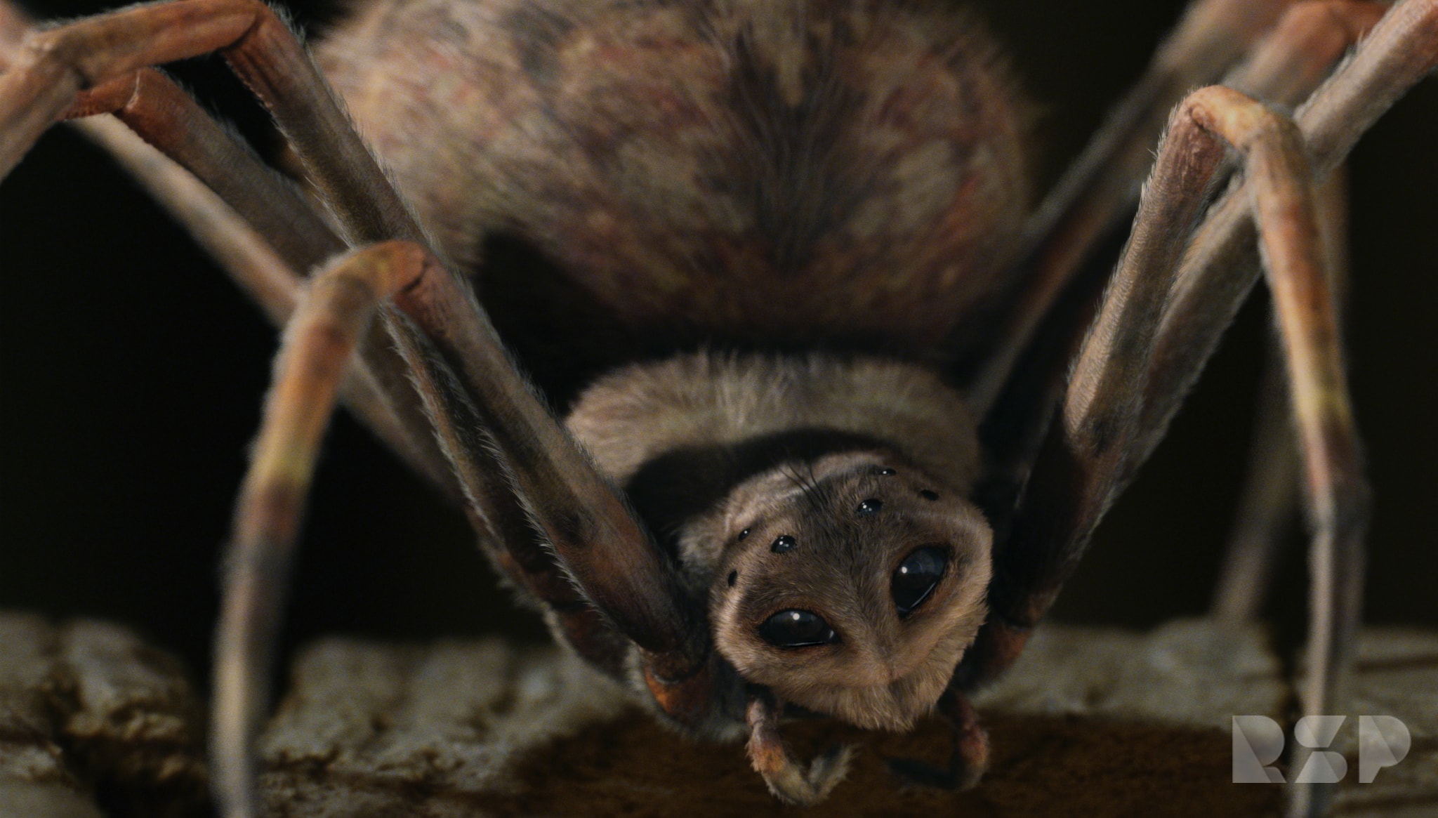 25 years' most memorable moments: Charlotte's Web
