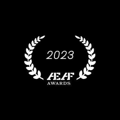 RSP WINS THREE AEAF AWARDS!
